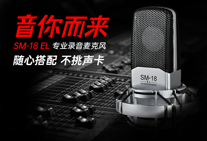 新品发布 | 音你而来—得胜SM-18 EL专业录音麦克风