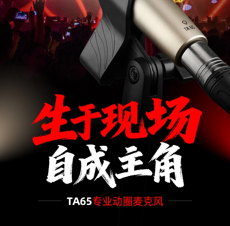 TA65_02.jpg